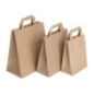 Sacs en papier Compostable marron 255 x 215mm (Lot de 250)