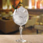 Verres à gin Artis Speakeasy 580ml (lot de 6)